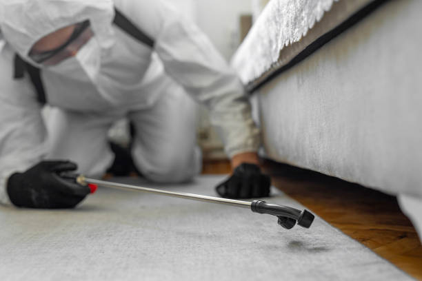 Professional Bed Bug Control technician working in Sundown, TX